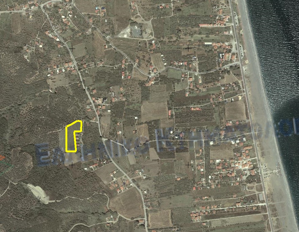 ΣΩΤΗΡΙΤΣΑ 5000 τμ